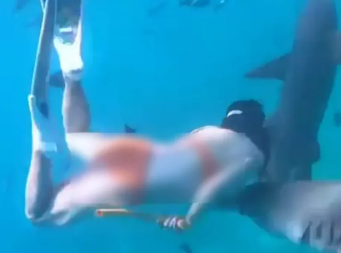 screenshot 2025 12 02 122429