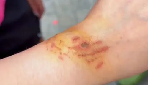 screenshot 2025 12 02 122437