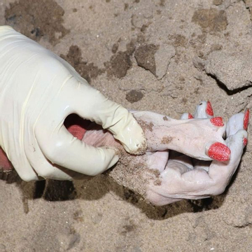 Ai là người thân của thi thể nữ trôi sông Sài Gòn, bàn tay có 6 ngón, sơn màu đỏ liên hệ công an