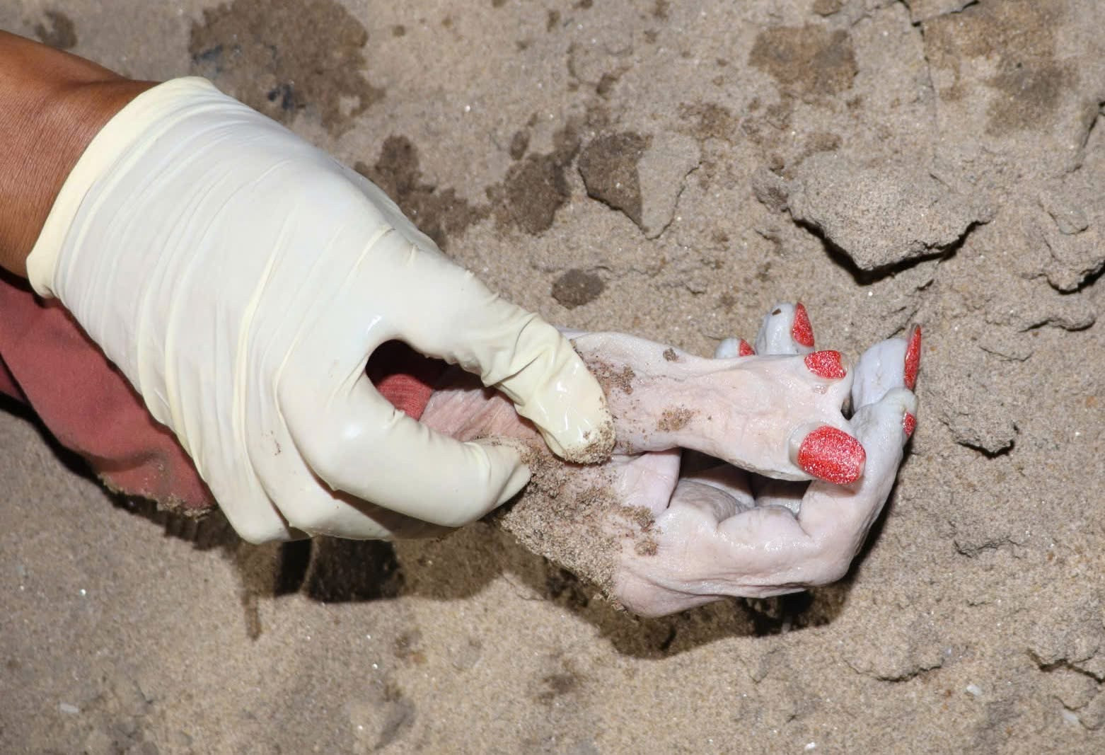 5986618801904761860414240296670359376932438n