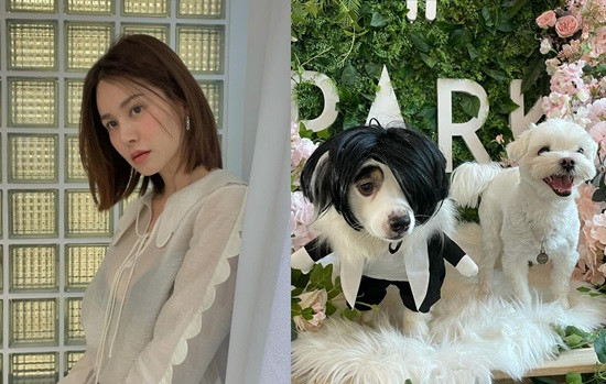 s8 1762995844400522513689