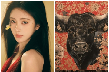 Chu kỳ may mắn rộng mở: 3 con giáp bước vào thời kỳ đỉnh cao, tiền hái ra tiền