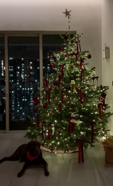 screenshot 2025 12 22 181409