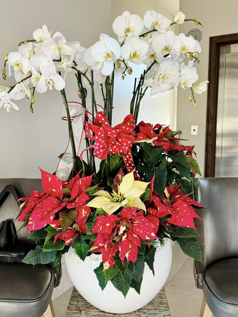 Sở thích trang trí nhà của thủy tiên Sau ly hôn Đan Trường gây ấn tượng Mạnh - Ảnh 11.