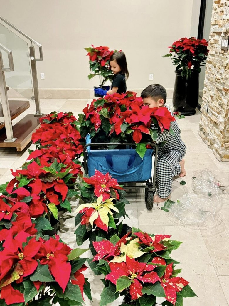 Sở thích trang trí nhà của thủy tiên Sau ly hôn Đan Trường gây ấn tượng Mạnh - Ảnh 7.