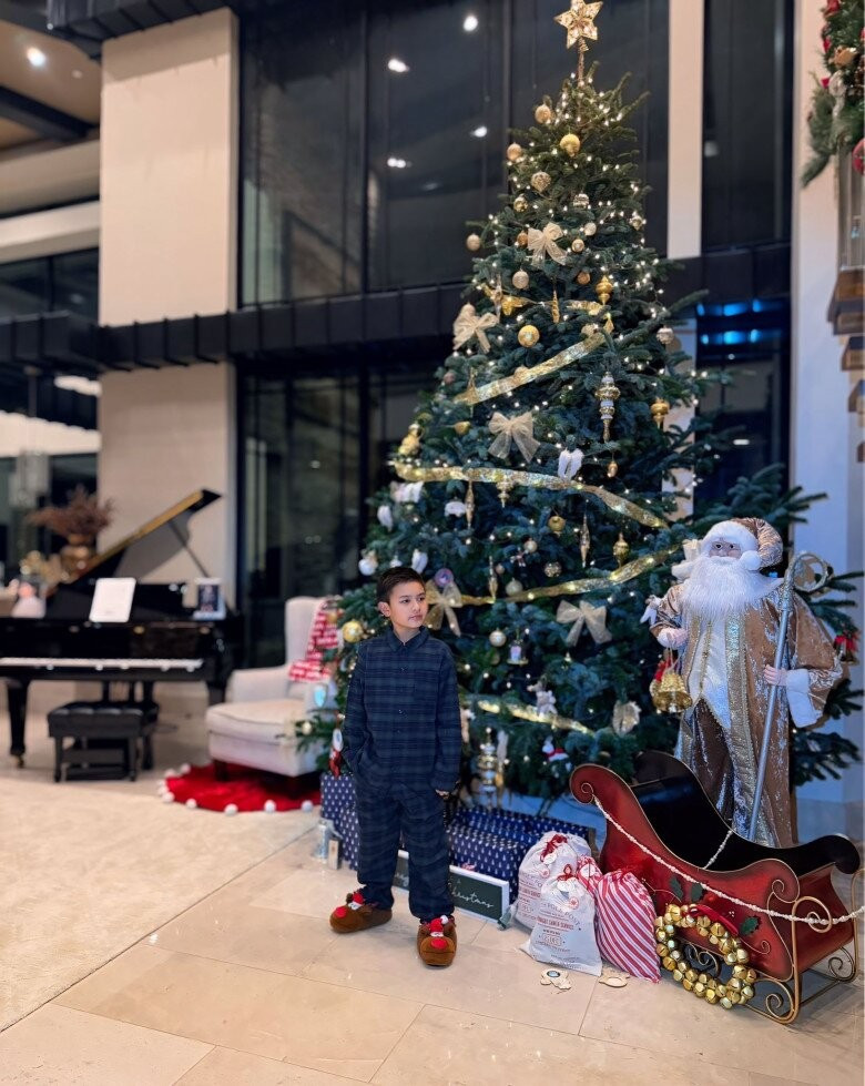 Sở thích trang trí nhà của thủy tiên Sau ly hôn Đan Trường gây ấn tượng Mạnh - Ảnh 2.