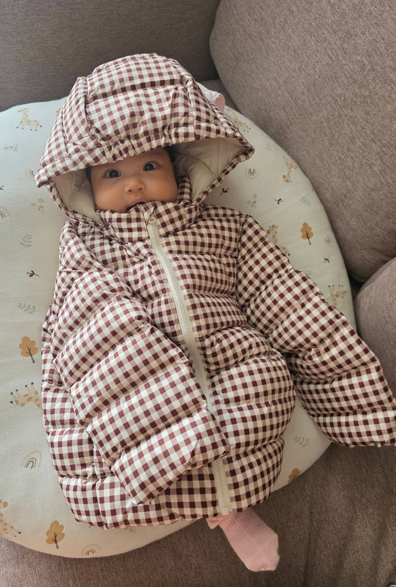 60508370914783234036600273692240978210801075n 17665530803801112921186.jpg