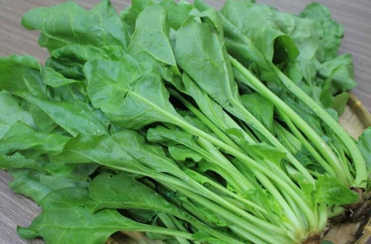 Nên ăn gì để giảm cân trong mùa đông?- Ảnh 2.