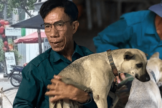 Sự thật bức ảnh người đàn ông lang thang cùng chú chó ở TP.HCM, xin việc hơn 30 công trình đều bị từ chối