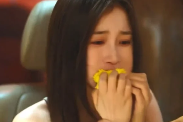 Tái xuất với 'Song quỹ', Ngu Thư Hân bị chê 'cảnh khóc giả đến khó tin' - Ảnh 2