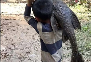 Cậu bé 5 tuổi gồng mình vác 'thủy quái' nặng trĩu đi khắp làng, ai nhìn cũng giật mình