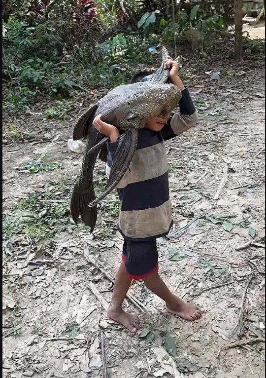 Cậu bé 5 tuổi gồng mình vác con