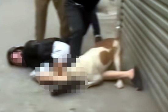 Nạn nhân kể phút kinh hoàng bị bố con hàng xóm chặn xe, xua chó dữ tấn công