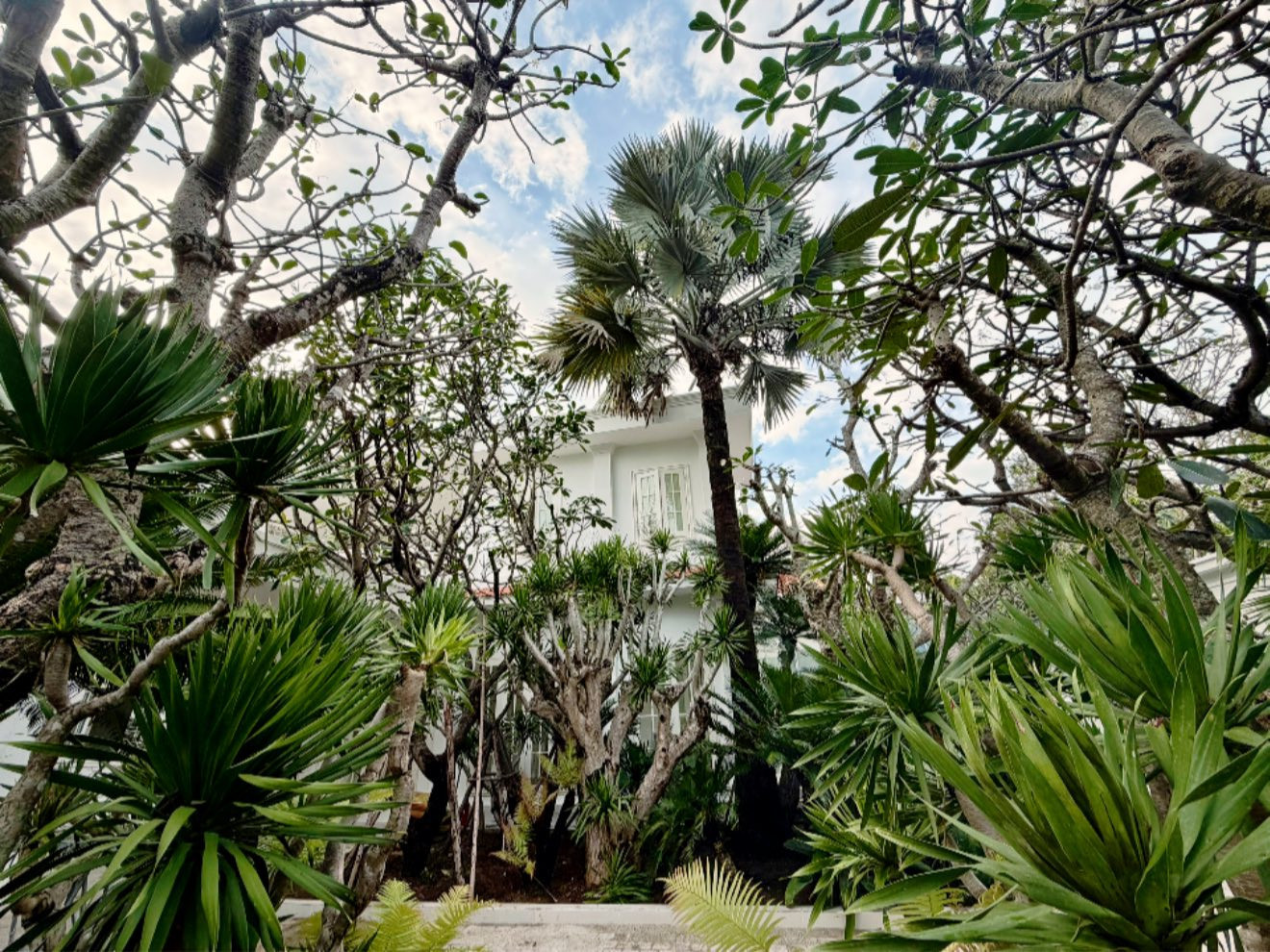 Đỗ Mạnh Cường và căn biệt thự 2000 m² tạo không gian sống lý tưởng cho các con - Ảnh 4.