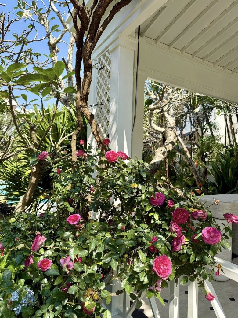 Đỗ Mạnh Cường và căn biệt thự 2000 m² tạo không gian sống lý tưởng cho các con - Ảnh 10.