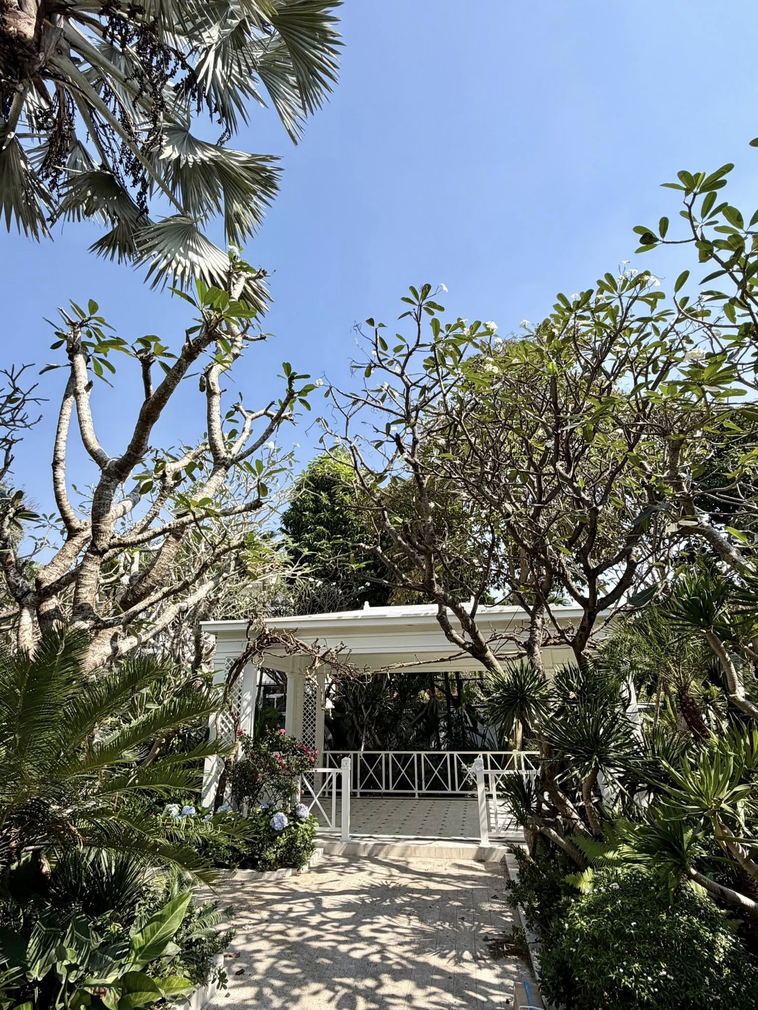 Đỗ Mạnh Cường và căn biệt thự 2000 m² tạo không gian sống lý tưởng cho các con - Ảnh 3.