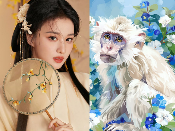 Đúng 20h hôm nay, ngày 3/12/2025, 3 con giáp như 'chuột sa hũ nếp', hỷ sự liên miên, chạm trúng mỏ vàng, tiền bạc nhân mười, cuộc đời hanh thông - Ảnh 2