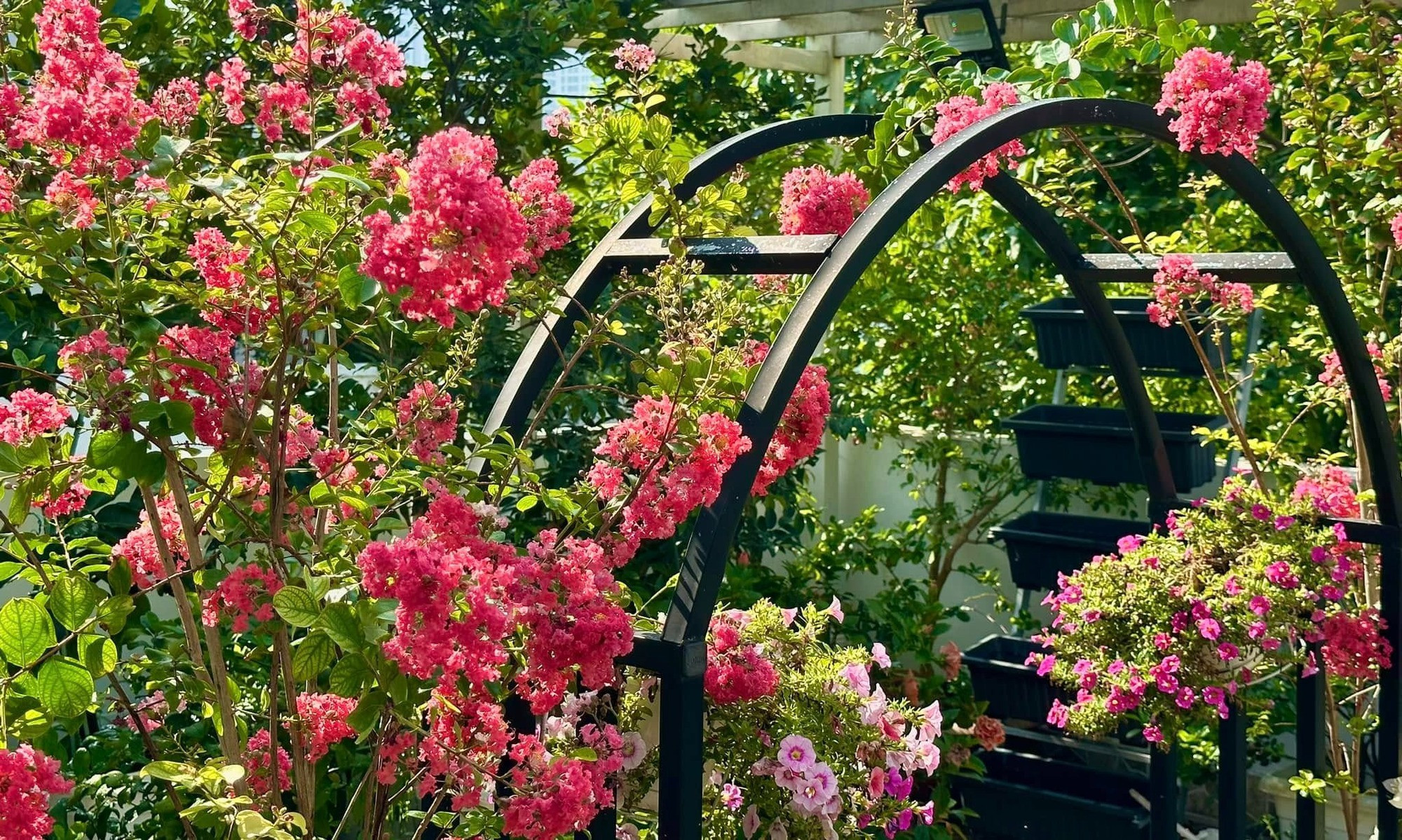 Thứ quý giá trong biệt thự 21 tỷ của MC Quyền Linh- Ảnh 6.