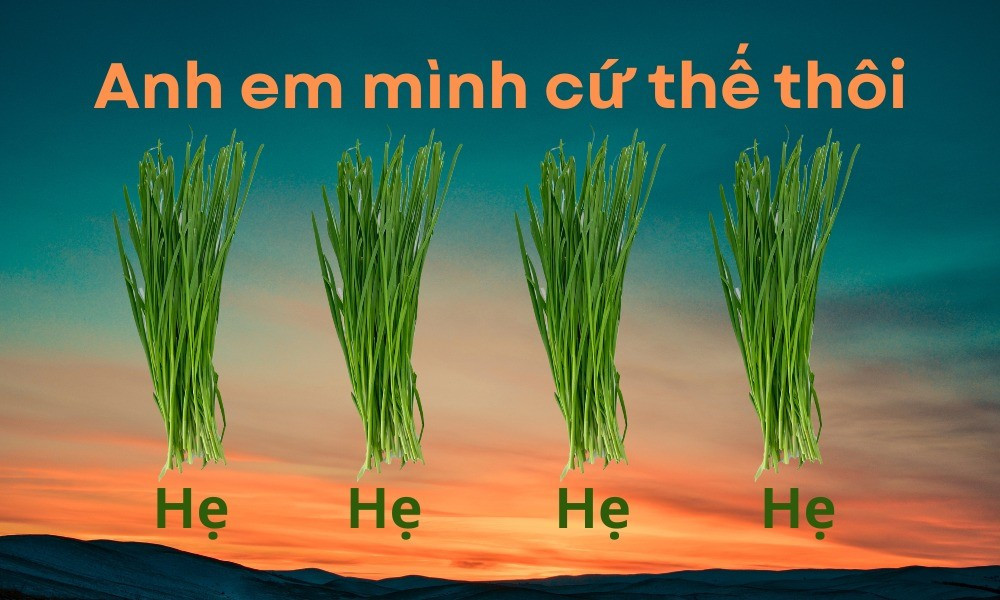 anh-em-minh-cu-the-thoi-4042-457.jpg