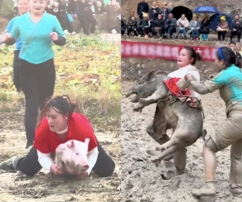 Wen Fengqin trong bộ trang phục đỏ rực rỡ đã lao tới chặt con vật đang vùng vẫy. Ảnh: Phụ nữ và Pháp luật.