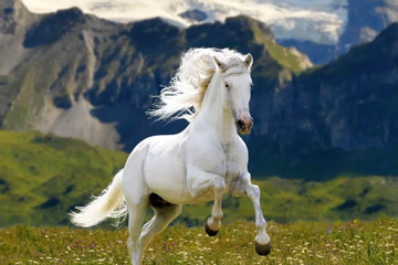 5 ngày liên tiếp (5, 6, 7, 8 và 9/12/2025), 3 con giáp Phú Quý đủ đường, tiền chảy vào đầy túi