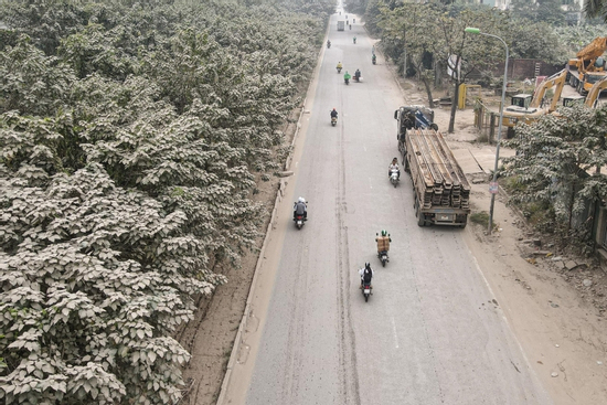 'Bão bụi' bao phủ đường cửa ngõ Hà Nội, cây cối chuyển màu trắng xóa