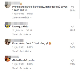 Bình luận khen ngợi Lâm Vỹ Dạ