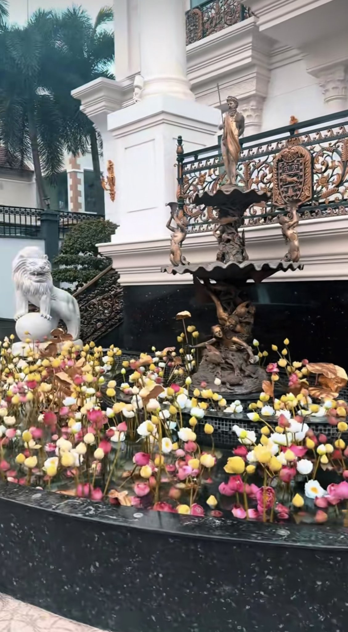 Cơ ngơi sang trọng của gia đình Tiên Nguyễn