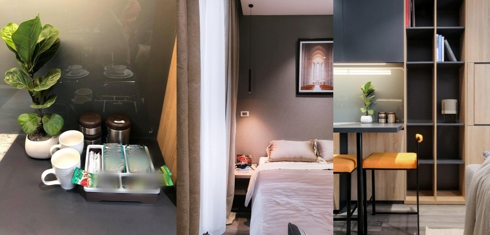 Shark Hưng gây xôn xao với loại hoa hiếm, hết Tết vẫn đẹp sang- Ảnh 19.