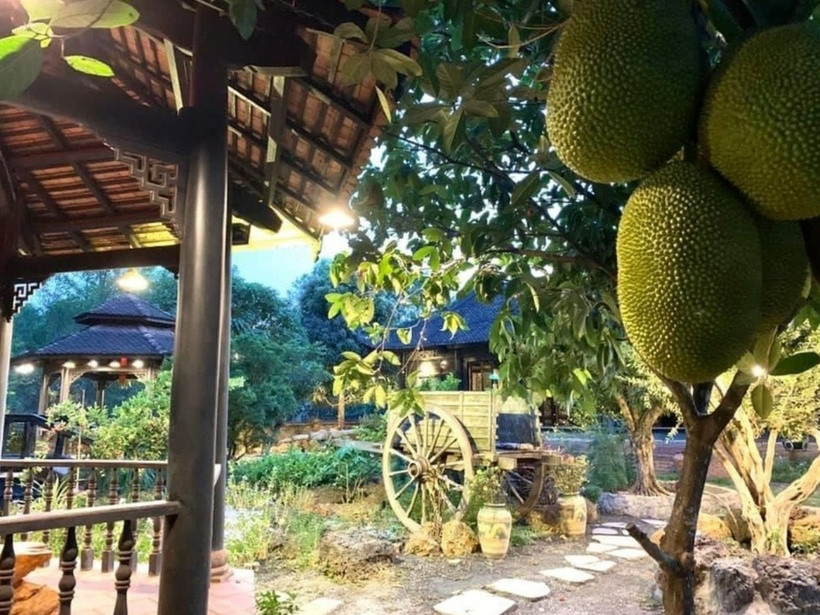 Trong khu vườn rộng, Hoàng Mập trồng rất nhiều cây ăn trái như mít, sầu riêng, xoài, đu đủ... Mỗi sáng, anh dậy từ 5h sáng, đi tập thể dục, sau đó sẽ tưới nước cho cây.