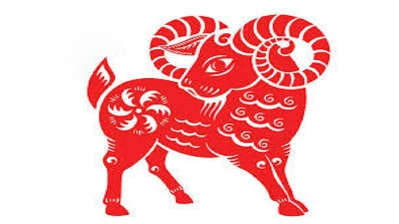 Tử vi tuổi Mùi năm 2025: Đề phòng tai nạn bất ngờ ảnh 1