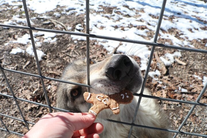 Nhiều khách hàng ưa thích dịch vụ này và xem là hình thức giải trí trong dịp lễ. (Ảnh: T&D)