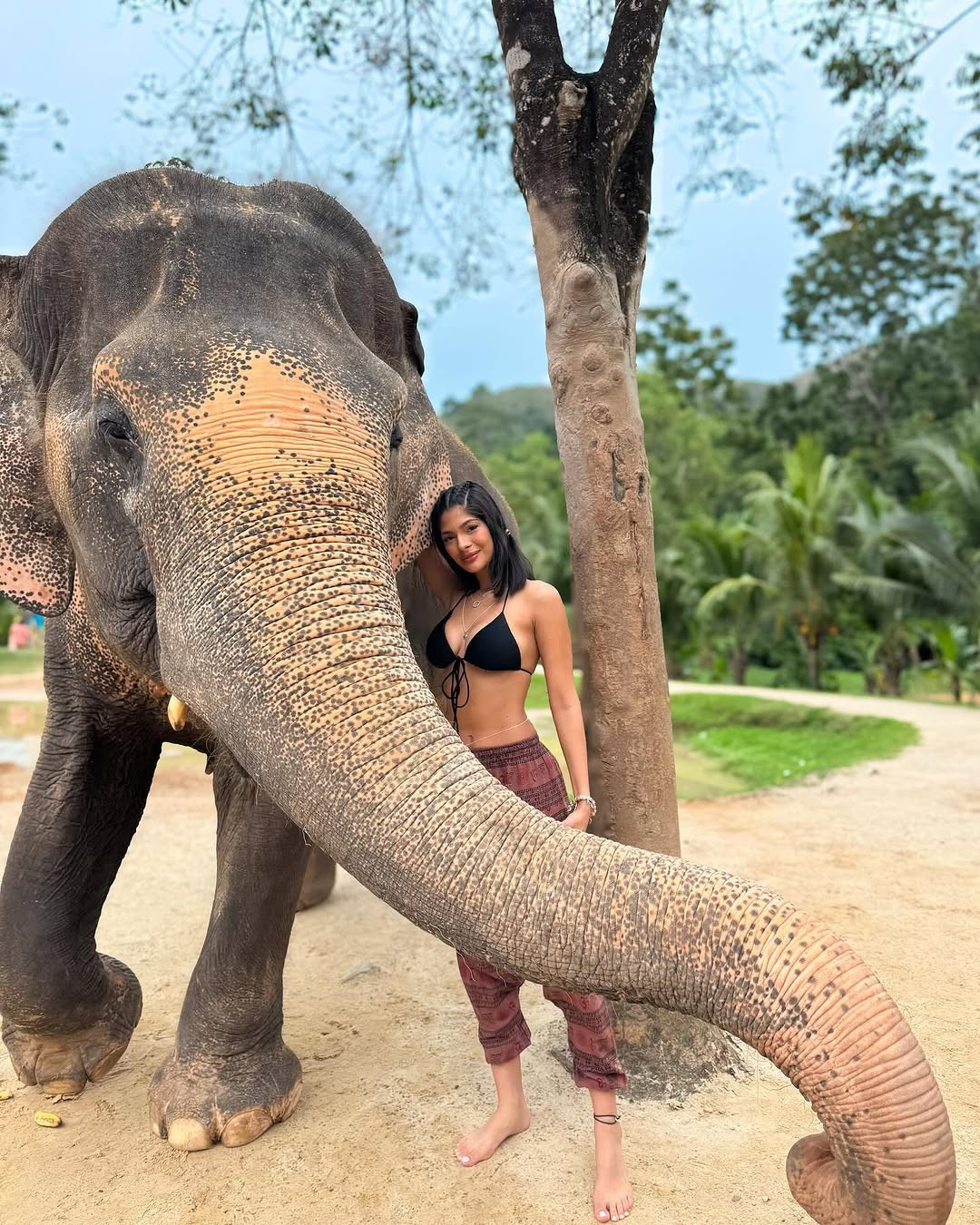 Hoa hậu đẹp nhất thế giới khoe dáng với bikini ảnh 18