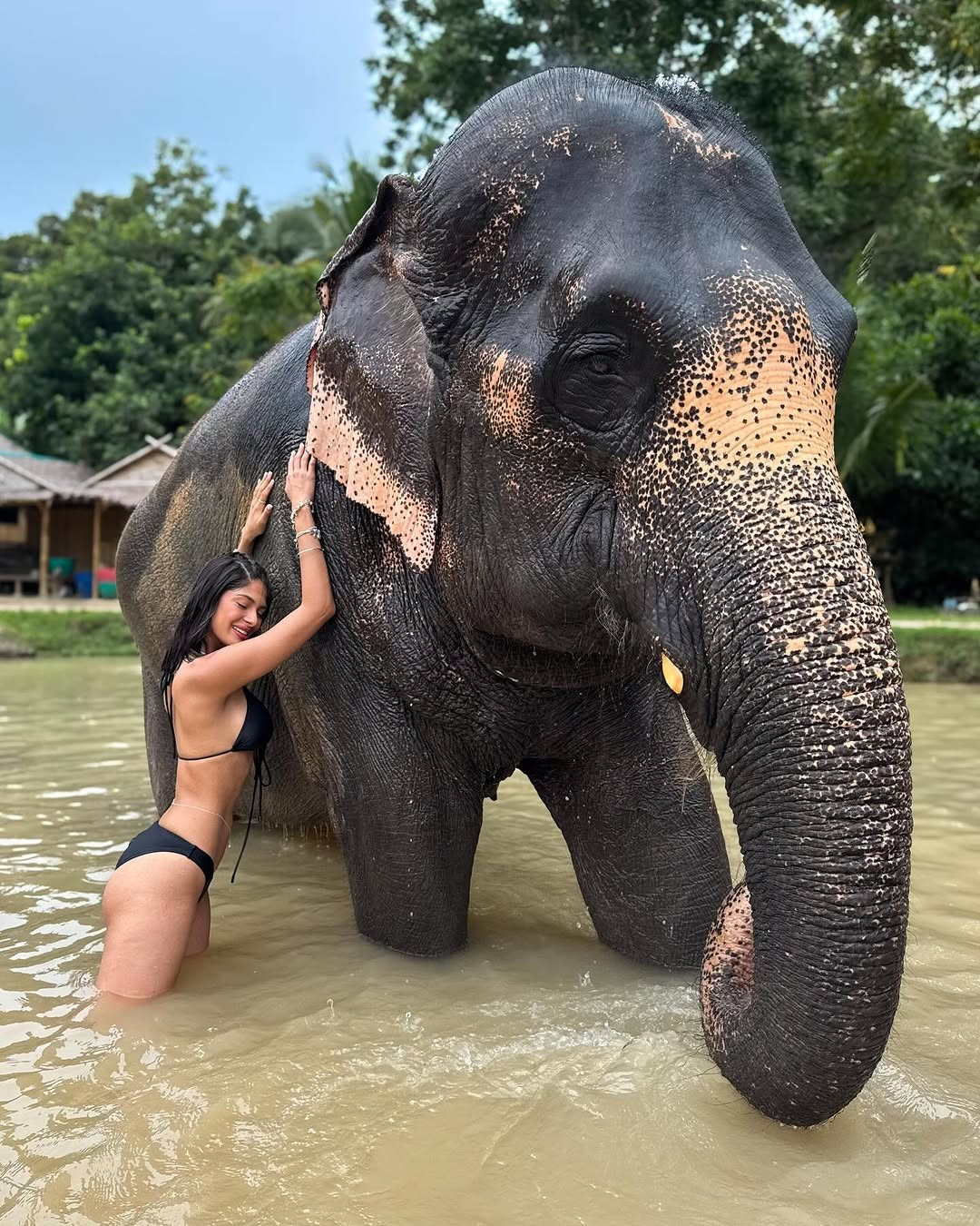 Hoa hậu đẹp nhất thế giới khoe dáng với bikini ảnh 16