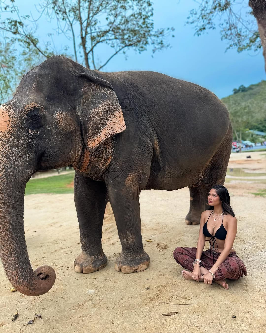 Hoa hậu đẹp nhất thế giới khoe dáng với bikini ảnh 17