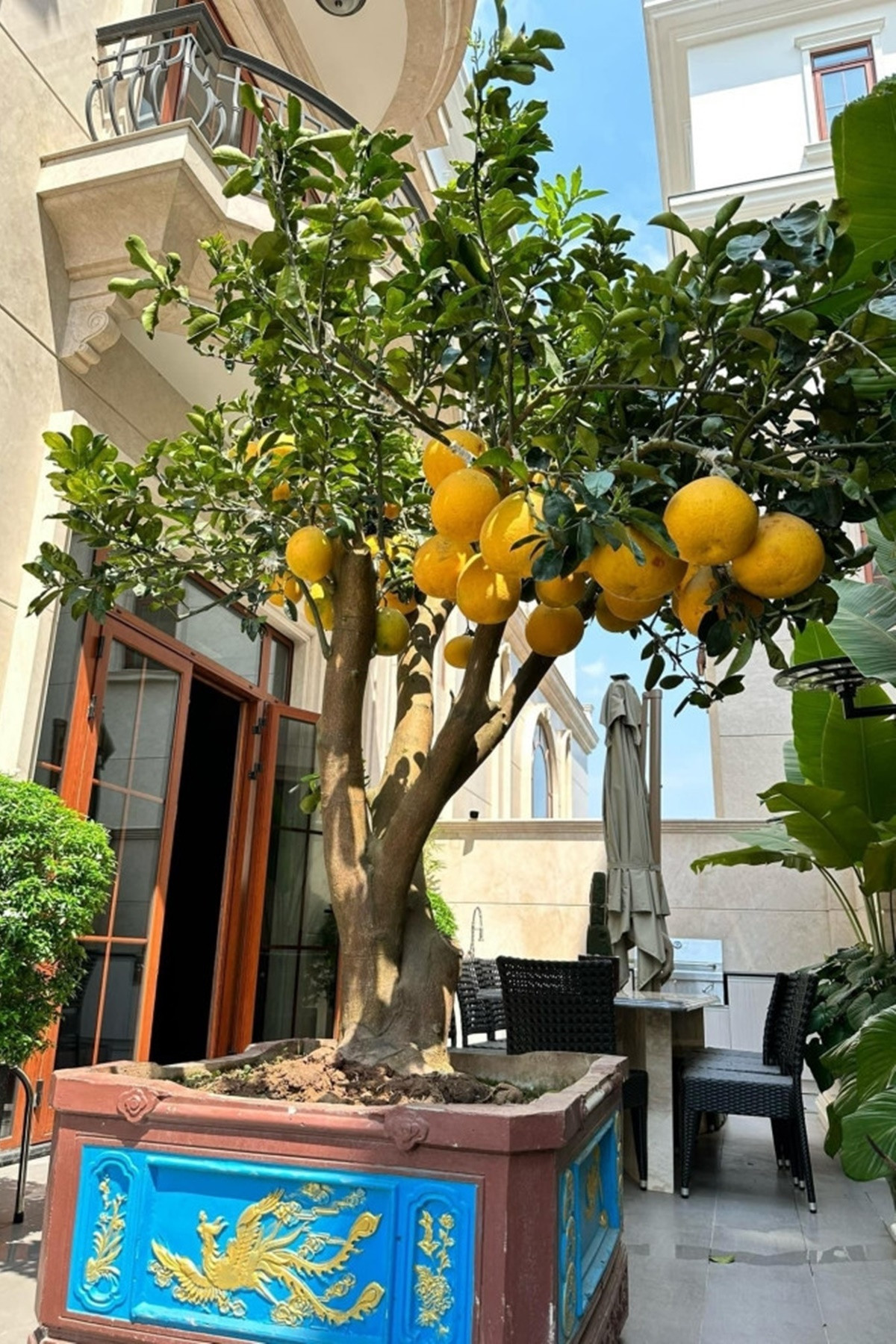 Hơn 17 năm bên nhau, nữ nghệ sĩ hài hiện sống viên mãn trong biệt thự chồng tặng, có giá 240 tỷ, nguy nga như lâu đài- Ảnh 13.