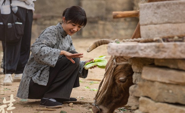 Triệu Lệ Dĩnh đối đầu Dương Mịch ảnh 2