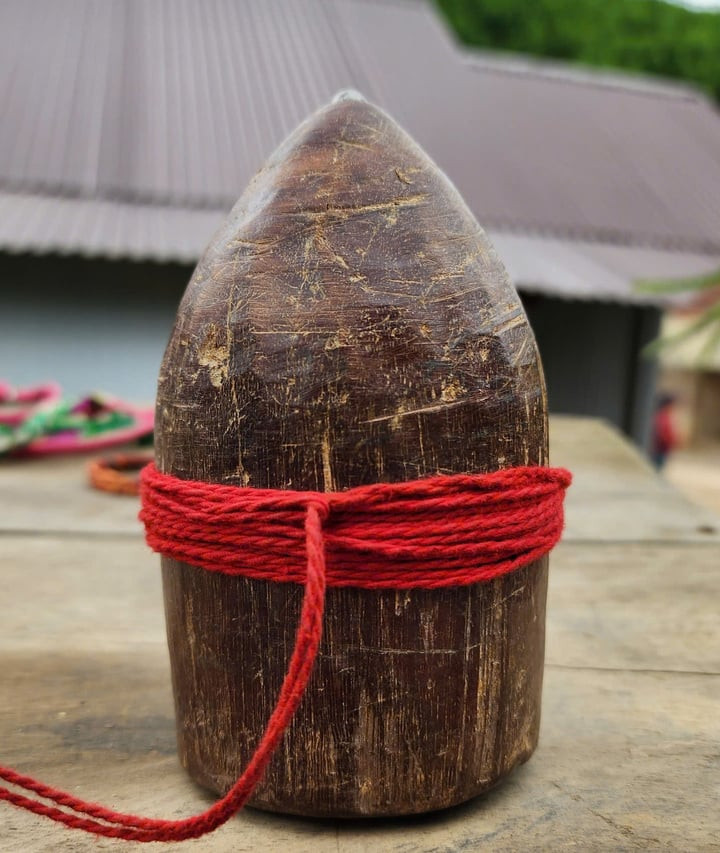 Cận cảnh quả cù. (Ảnh: NVCC)