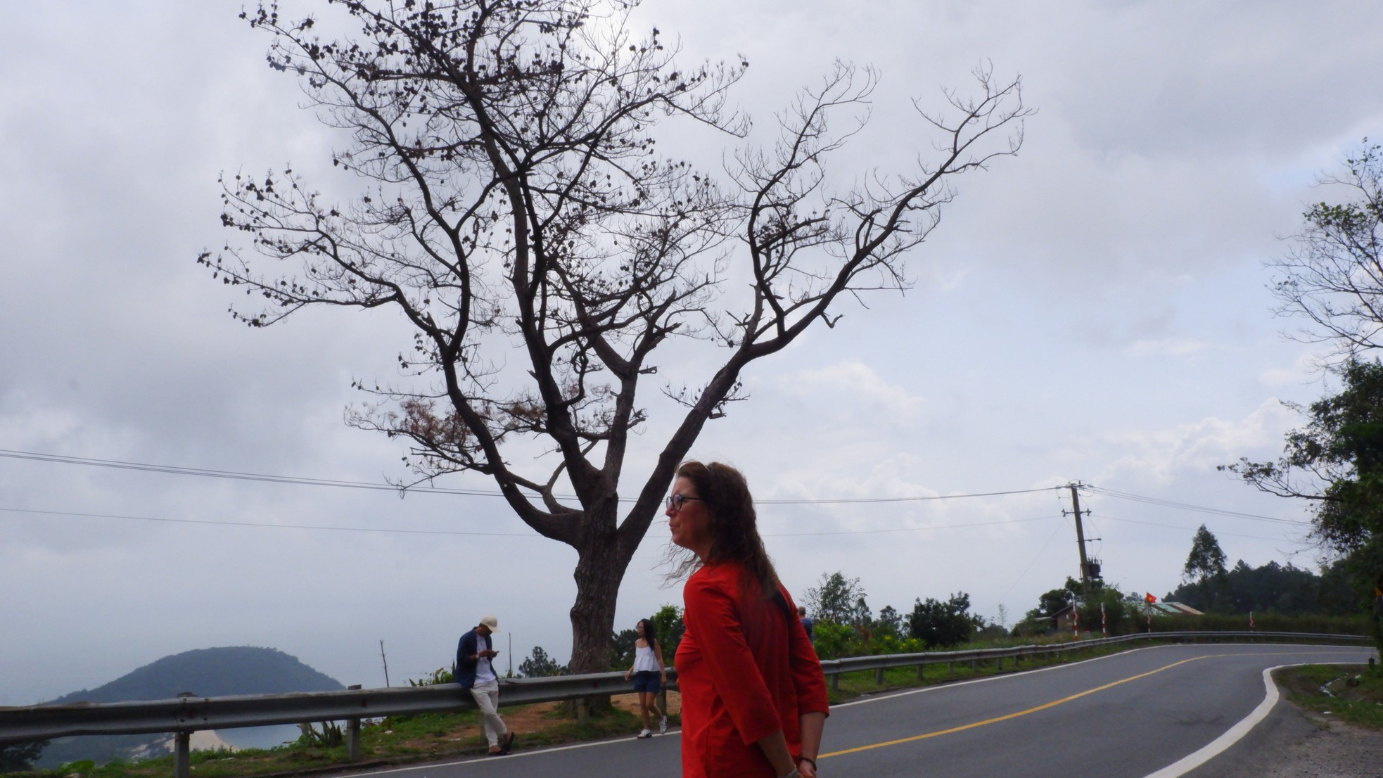 Cây thông 'cô đơn' nổi tiếng trên đèo Hải Vân chết khô ảnh 1