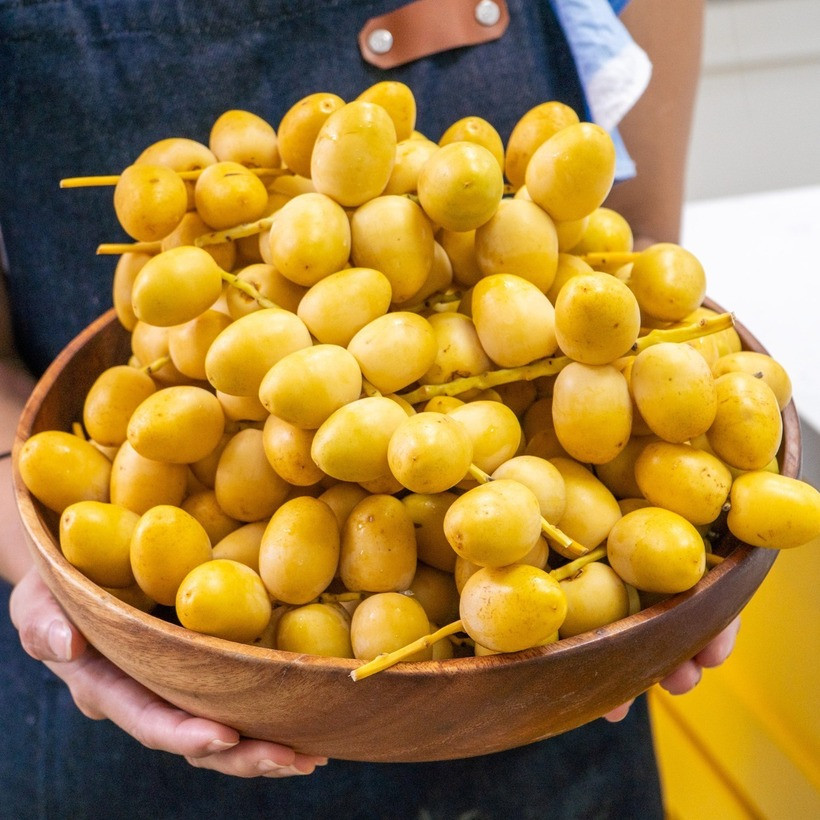 Chà là được xem là một loại trái cây nhập khẩu cao cấp, với mức giá khá đắt đỏ.