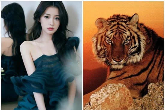 Tử vi 12 con giáp thứ Bảy ngày 22/2/2025: Mão bất ngờ có tiền, Thân chi tiêu quá tay