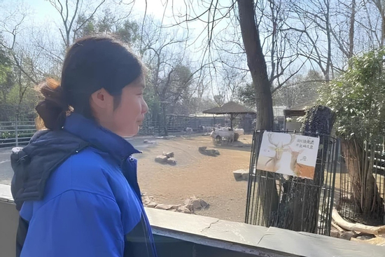 Nữ thạc sĩ Cambridge xin vào sở thú dọn phân, trông coi động vật gây tranh cãi