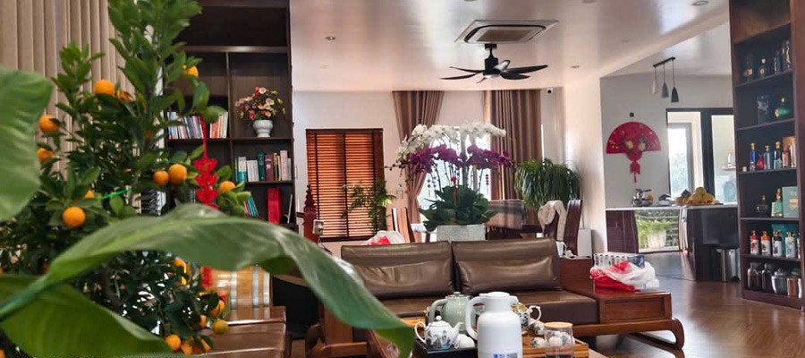 anh trong bài 2.jpg