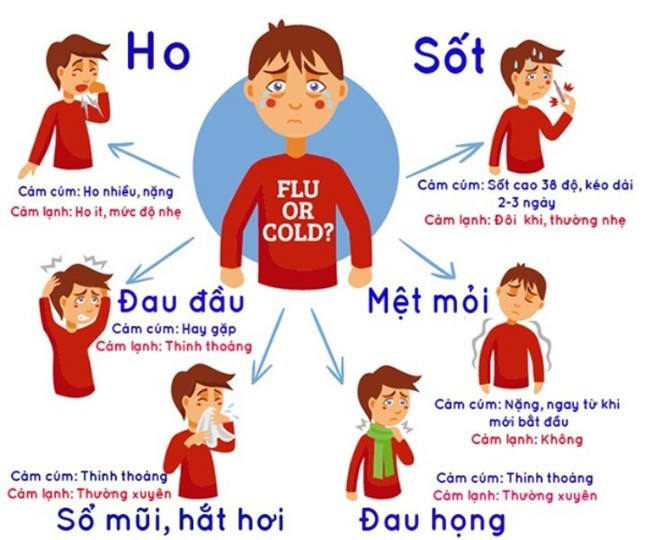 Dấu hiệu bạn đã mắc cúm chứ không phải cảm lạnh, cần biết để khỏi 'mất mạng' ảnh 2