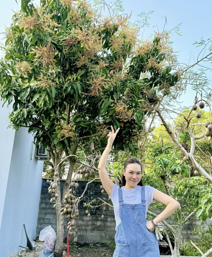 Mỹ Tâm đi dép tổ ong, mặc quần jean rách thăm vườn - Ảnh 2.