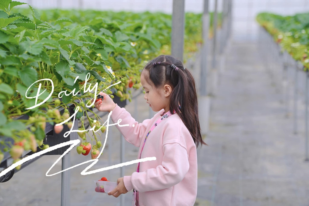 dang thu thao 06.jpg