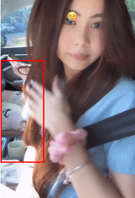 Lái xe 9 tỷ Lọ Lem nhà Quyền Linh bị soi khoảnh khắc kém tươm tất