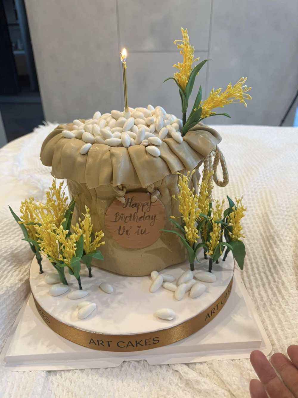 ngo thanh van (3).jpg