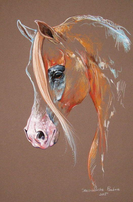 Tử vi 12 con giáp thứ Năm ngày 2722025