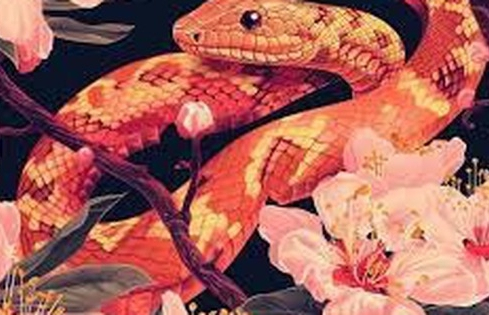 Đàn ông tuổi này kiếm tiền giỏi nhất trong số 12 con giáp